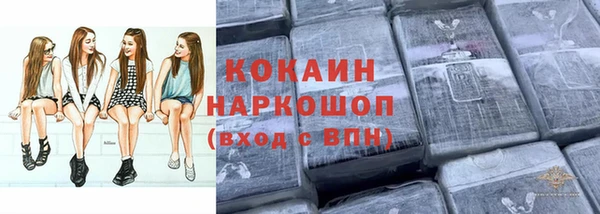 индика Ростов